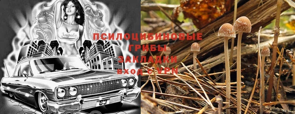 скорость Каменка