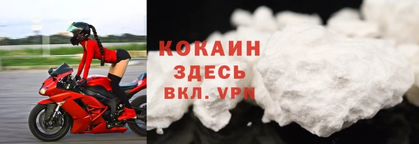 скорость Каменка