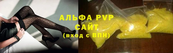 скорость Каменка