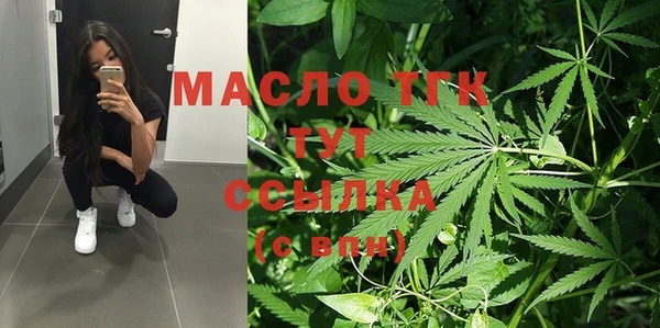 скорость Каменка