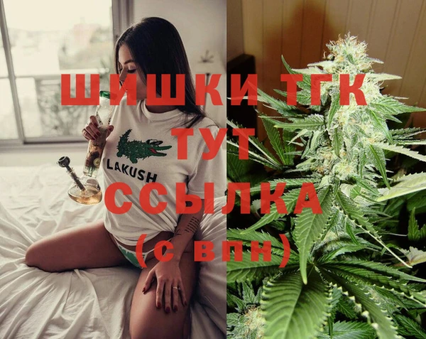 скорость Каменка
