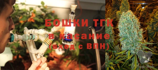 скорость Каменка