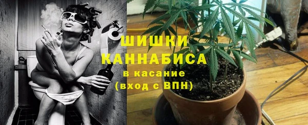 трава Каменногорск