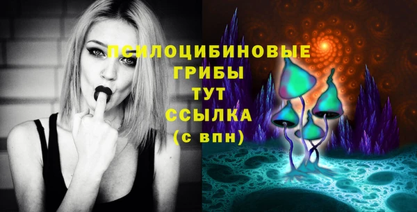 трава Каменногорск