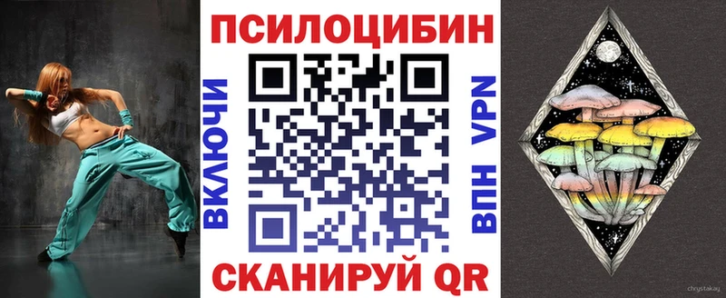 Купить закладки  Малая Вишера  Галлюциногенные грибы Magic Shrooms 